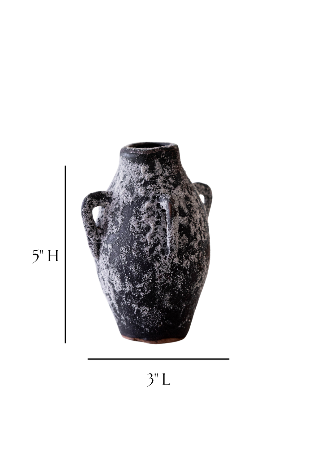 Thassos Four Handle Vase Black