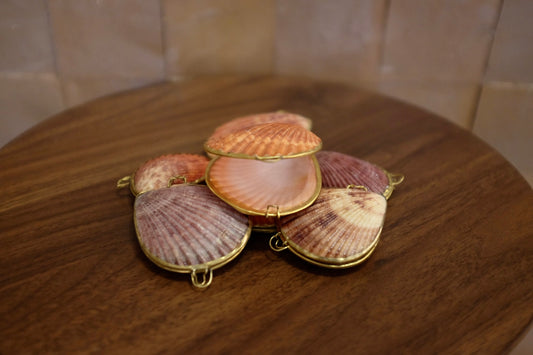Noble Pectin Trinket Pill Box, Coin Purse