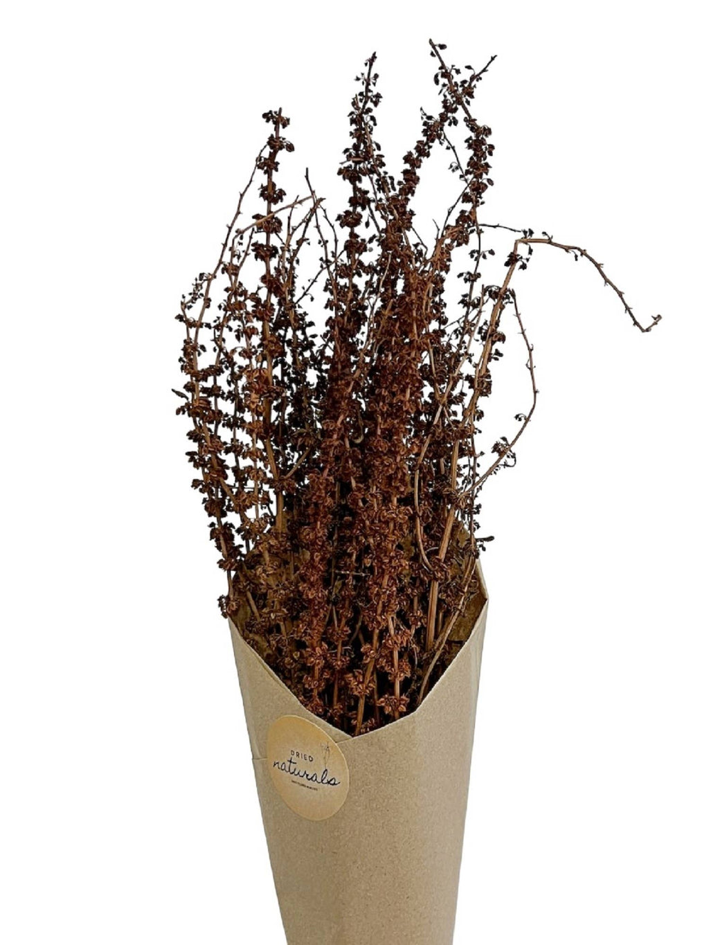 Palang Grass in Craft Paper Wrap Natural H 31.5"
