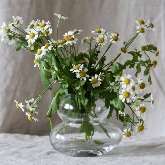 Zen PM transparent vase W10,5 D8 H8,5cm