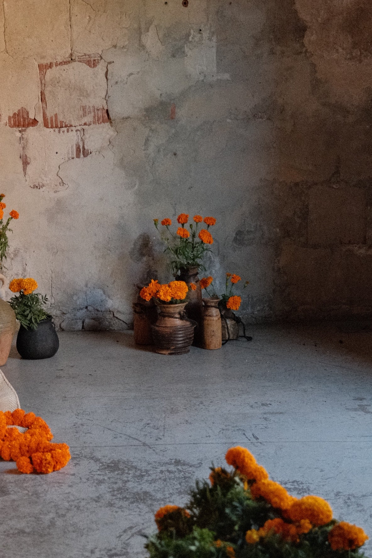 Vases