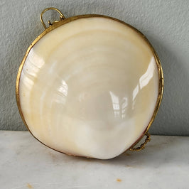 Mini Clam Trinket - Pill Box - Coin Purse