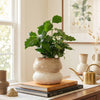 Ceramic Planter Pot, Stacked with Drainage - Noemi