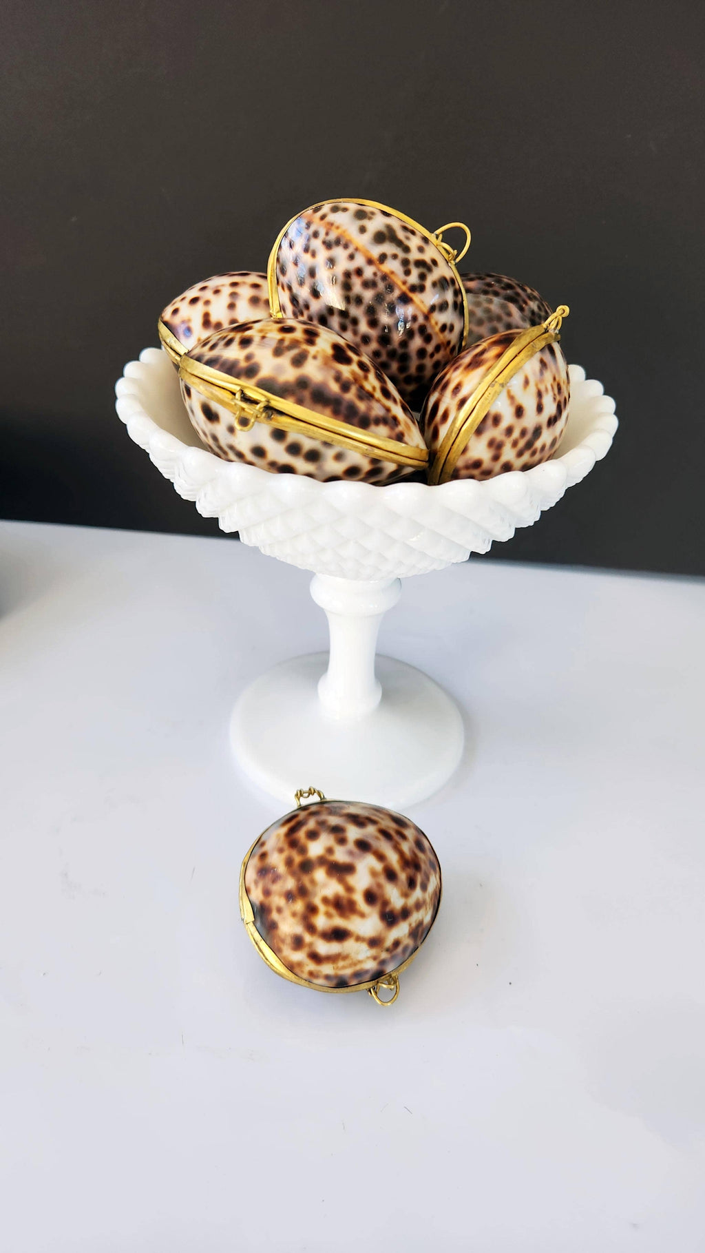 Tiger Cowrie Trinket Pill Box, Coin Purse