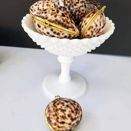 Tiger Cowrie Trinket Pill Box, Coin Purse