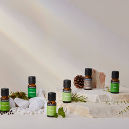 Pine 100% Natural Essential Oil 15ml