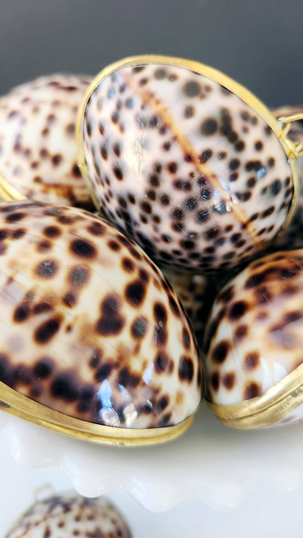 Tiger Cowrie Trinket Pill Box, Coin Purse
