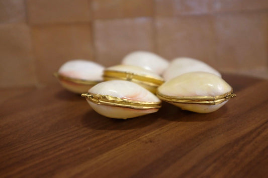 Mini Clam Trinket - Pill Box - Coin Purse