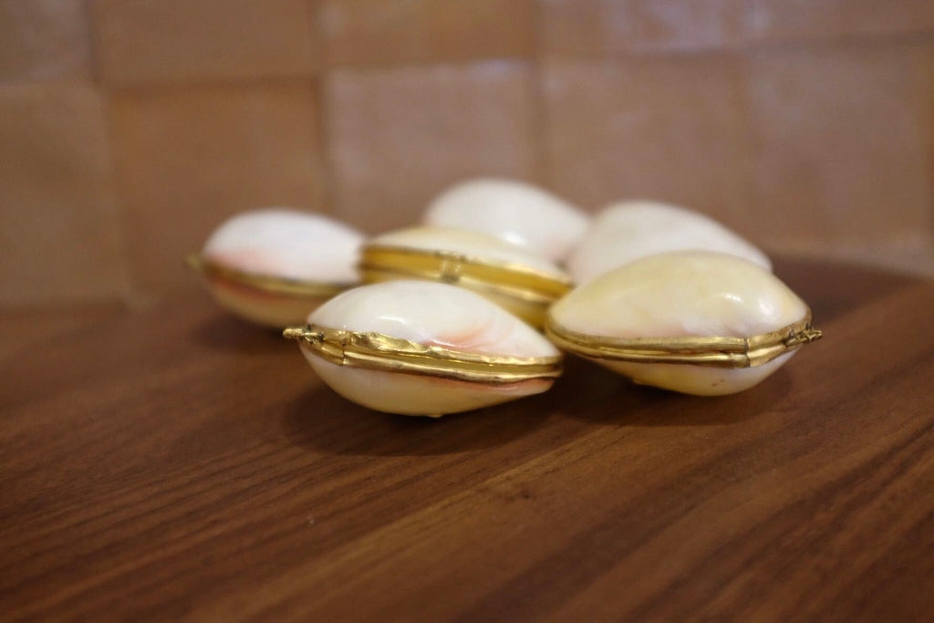 Mini Clam Trinket - Pill Box - Coin Purse