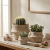 Ceramic Planter Pot, Textured with Drainage - Solene