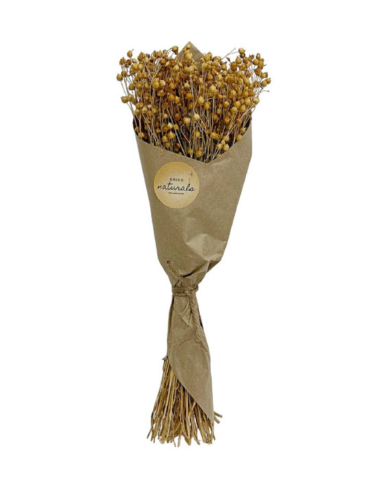 Teesi Grass in Craft Paper Wrap Natural H 19.7"