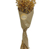 Teesi Grass in Craft Paper Wrap Natural H 19.7"