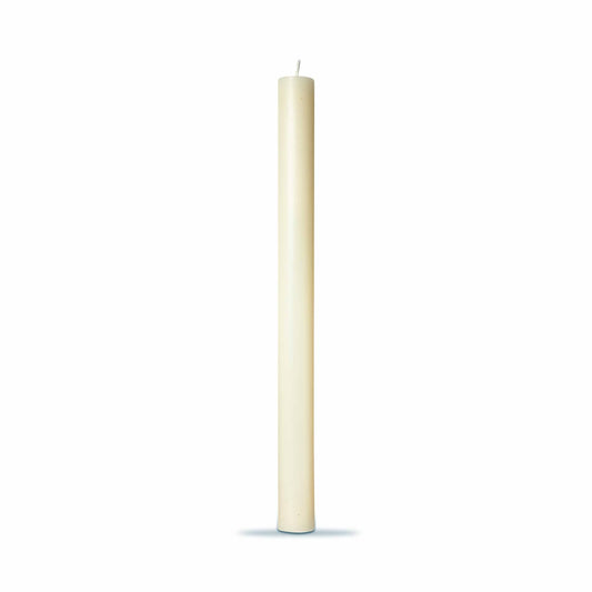 Color Studio 10" Straight Candle Ivory Wax Everyday