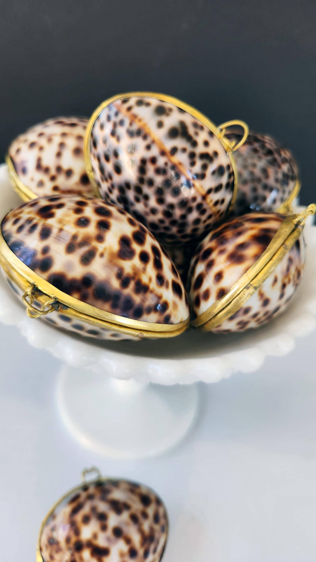 Tiger Cowrie Trinket Pill Box, Coin Purse
