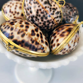 Tiger Cowrie Trinket Pill Box, Coin Purse