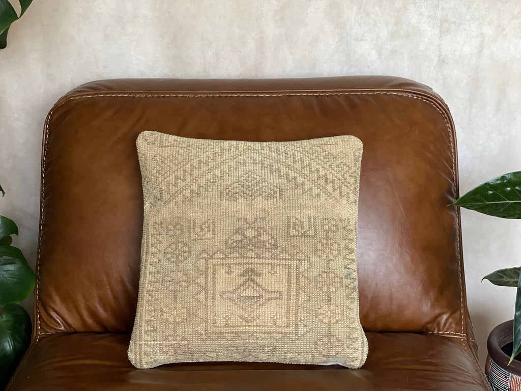 Pastel Vintage Persian Rug Pillow | Asli 16’