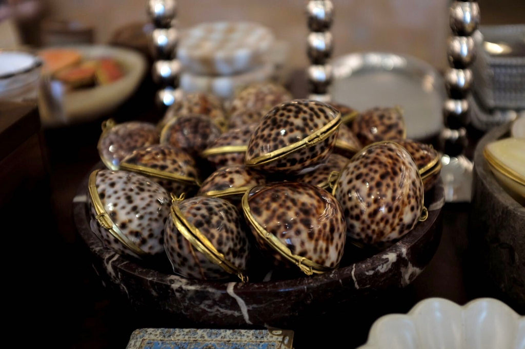 Tiger Cowrie Trinket Pill Box, Coin Purse