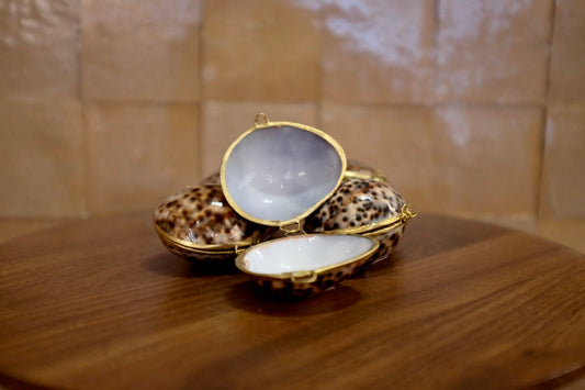 Tiger Cowrie Trinket Pill Box, Coin Purse
