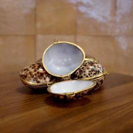 Tiger Cowrie Trinket Pill Box, Coin Purse