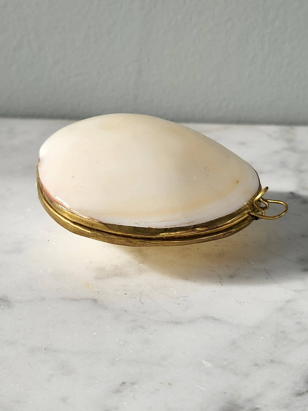 Mini Clam Trinket Pill Box, Coin Purse