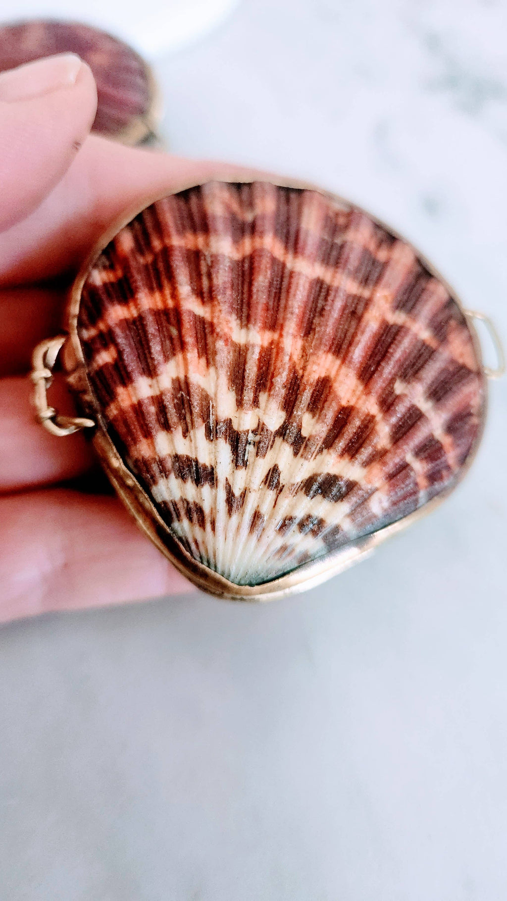 Pink Pectin Scallop Trinket Box