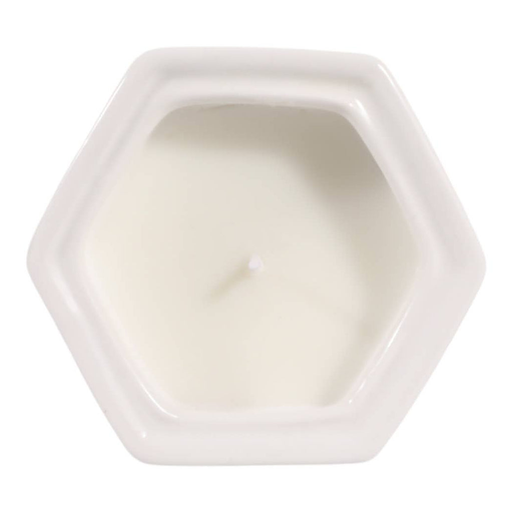 Sage & Eucalyptus Brown Ceramic Scented Candle