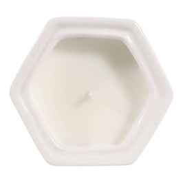 Sage & Eucalyptus Brown Ceramic Scented Candle