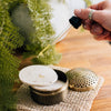 Elegance Diffuser
