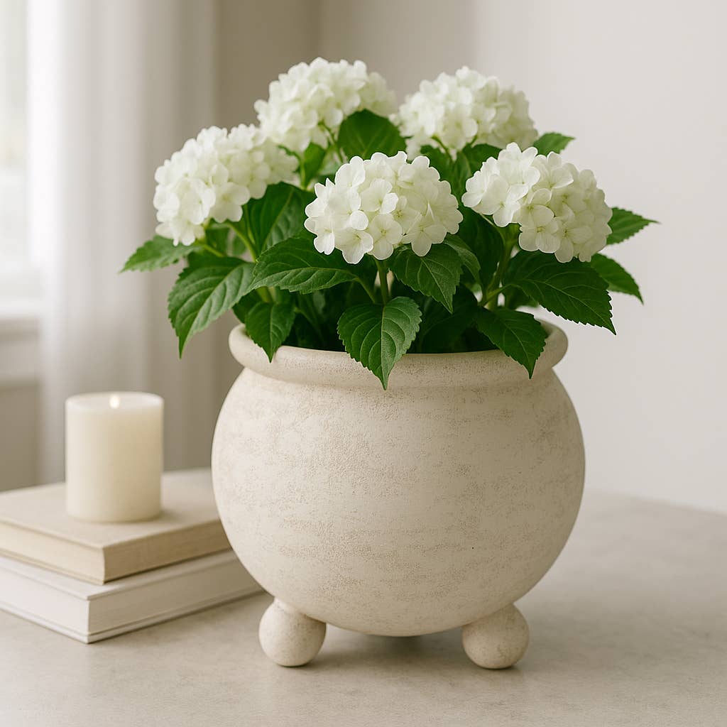 Planter - Ivory Pottery Round Textured On Ball Feet, 9 in.