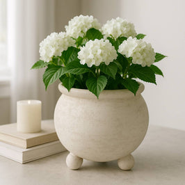 Planter - Ivory Pottery Round Textured On Ball Feet, 9 in.