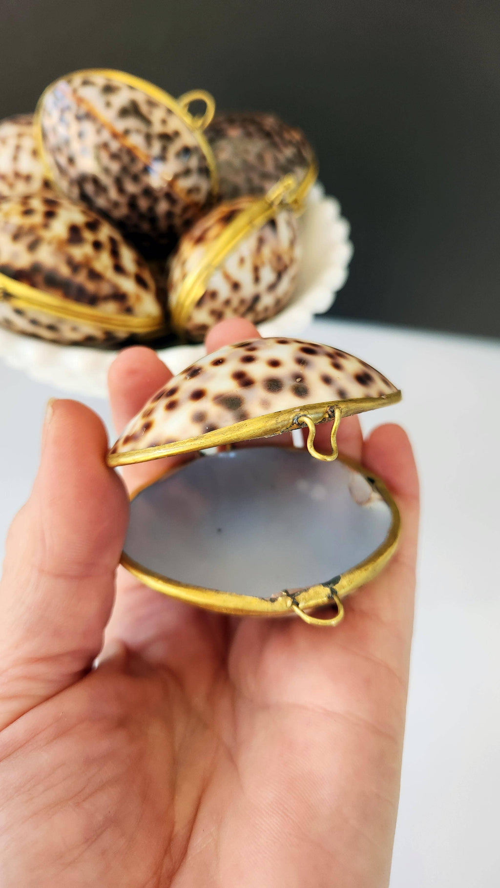 Tiger Cowrie Trinket Pill Box, Coin Purse
