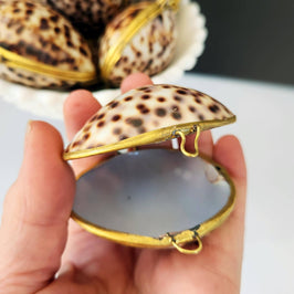 Tiger Cowrie Trinket Pill Box, Coin Purse