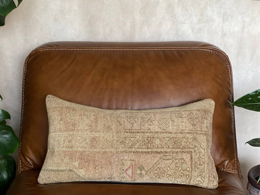 Pastel Vintage Persian Lumbar Rug Pillow - Asli