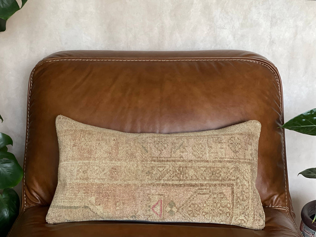 Pastel Vintage Persian Rug Pillow | Asli 12x24