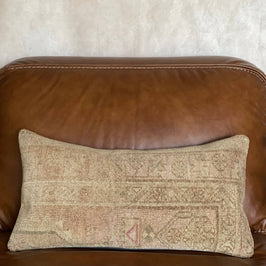 Pastel Vintage Persian Lumbar Rug Pillow - Asli