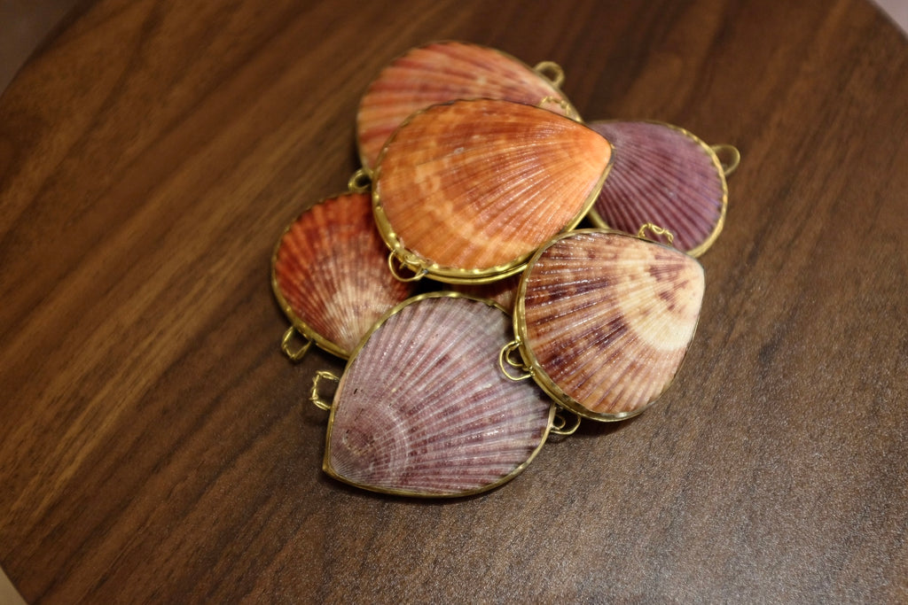 Noble Pectin Trinket Pill Box, Coin Purse