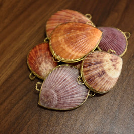 Noble Pectin Trinket Pill Box, Coin Purse