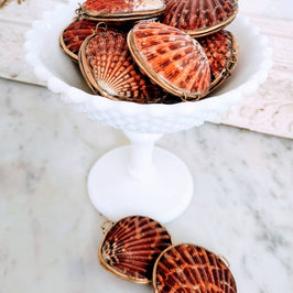 Pink Pectin Scallop Trinket Box