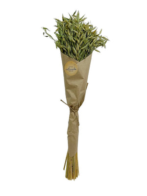 Avana Grass in Craft Paper Wrap Moss Green H 23.6"