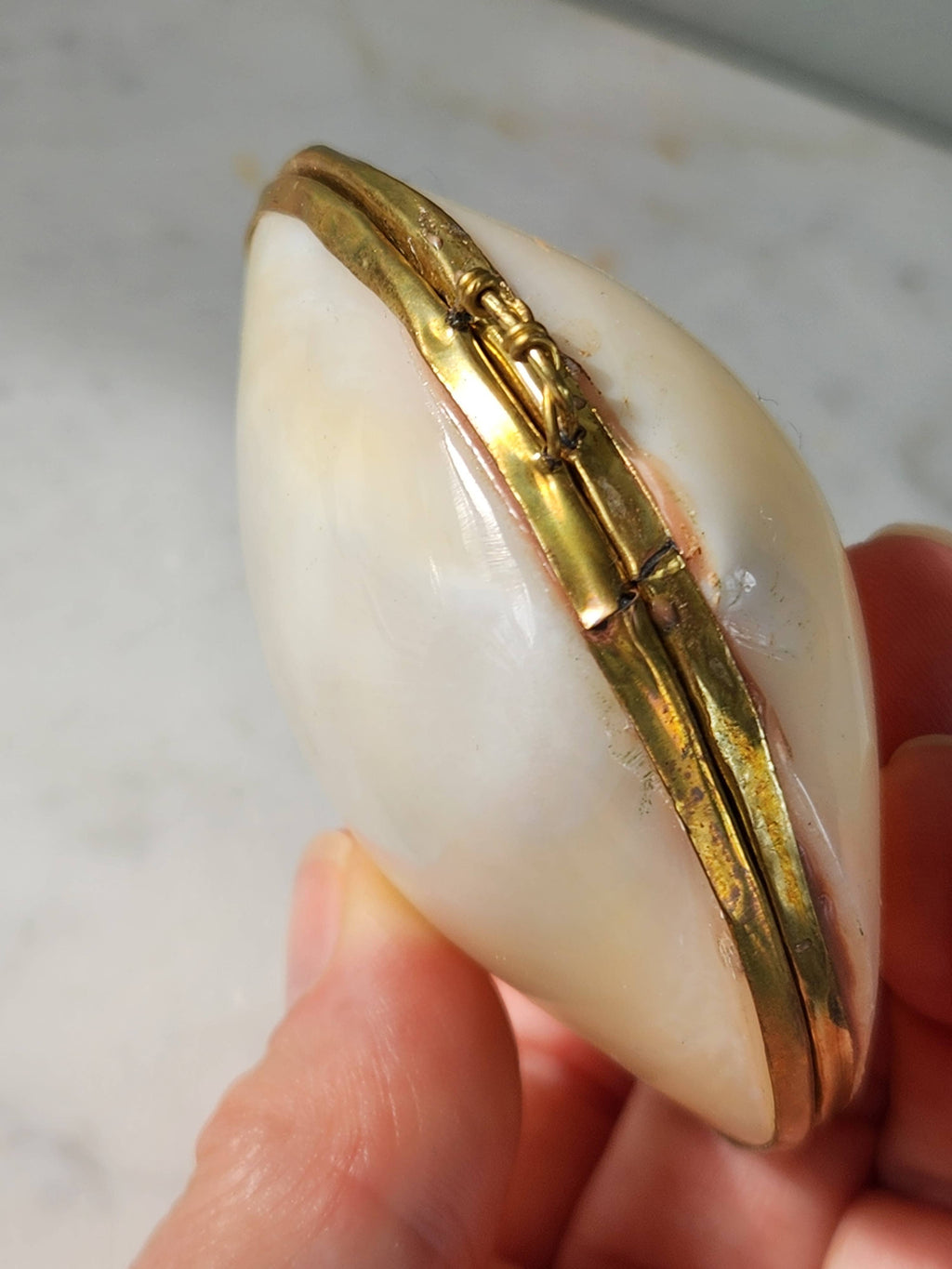 Mini Clam Trinket Pill Box, Coin Purse