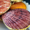 Noble Pectin Trinket Pill Box, Coin Purse