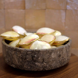 Mini Clam Trinket - Pill Box - Coin Purse