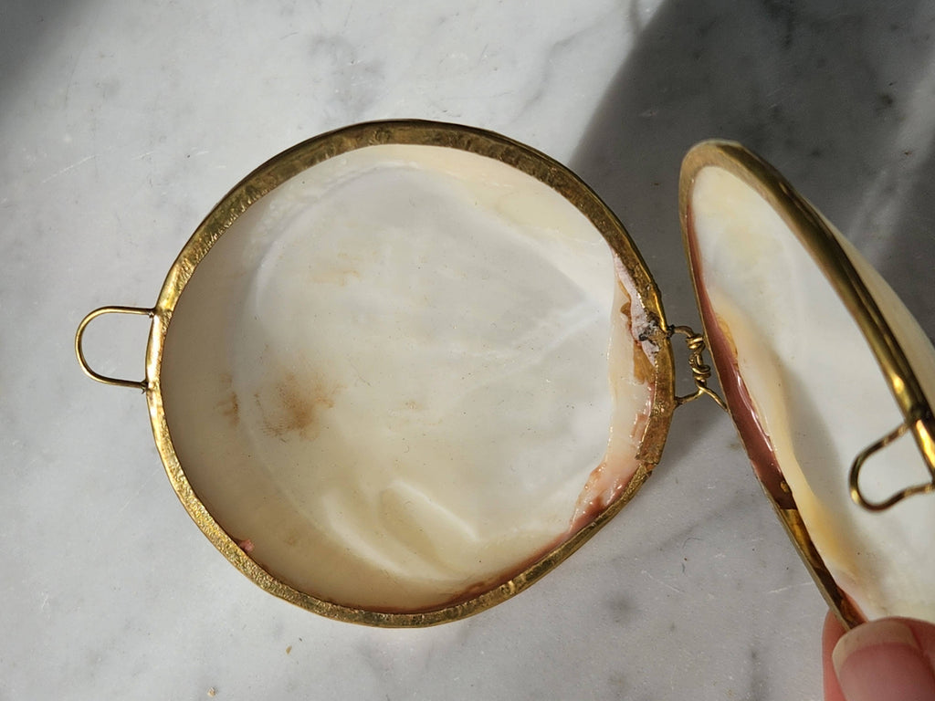 Mini Clam Trinket Pill Box, Coin Purse