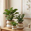 Ceramic Planter Pot, Stacked with Drainage - Noemi