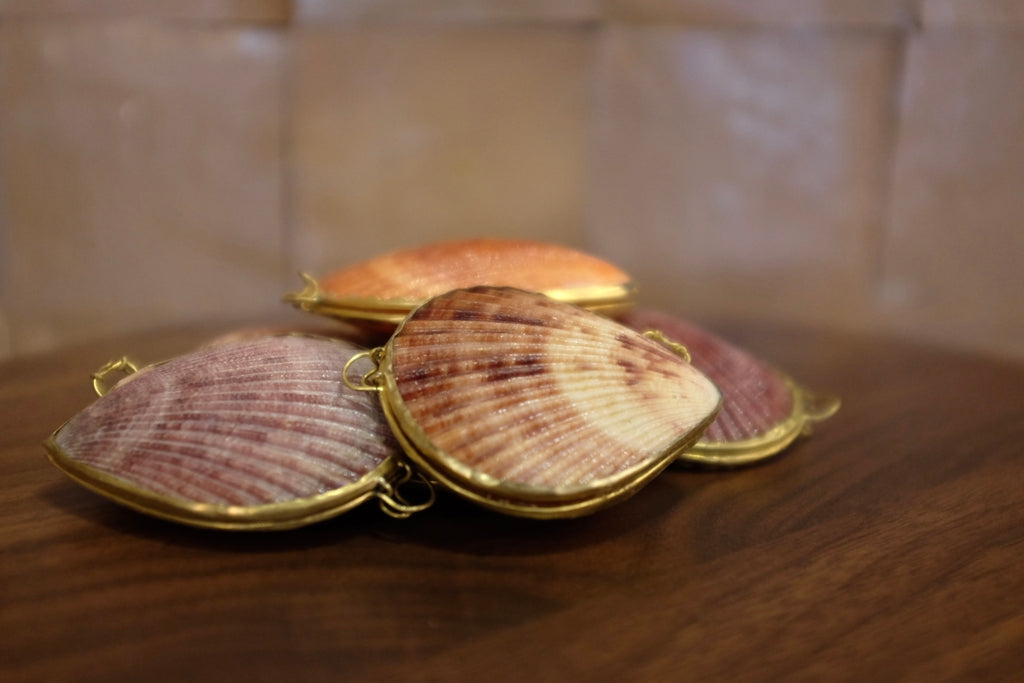 Noble Pectin Trinket Pill Box, Coin Purse