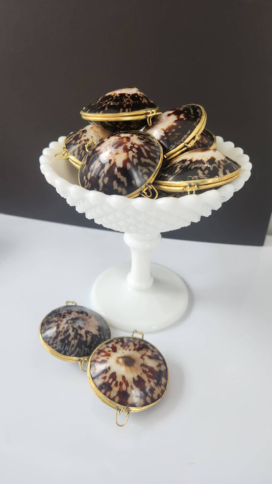 Polished Limpet Trinket Box