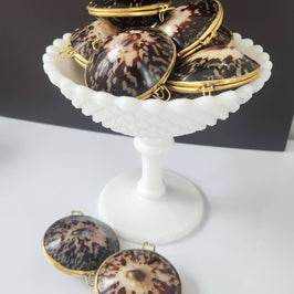 Polished Limpet Trinket Box