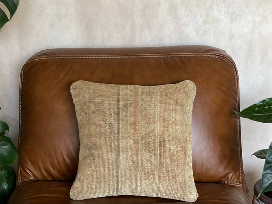 Pastel Vintage Persian Rug Pillow - Asli