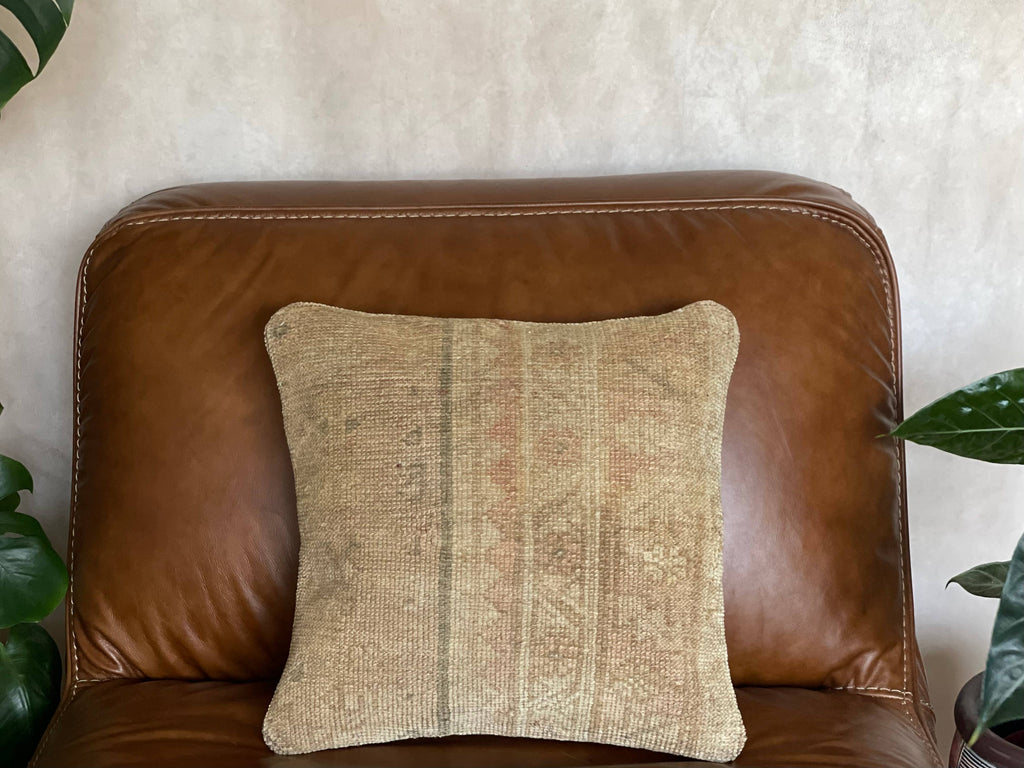 Pastel Vintage Persian Rug Pillow | Asli 16’