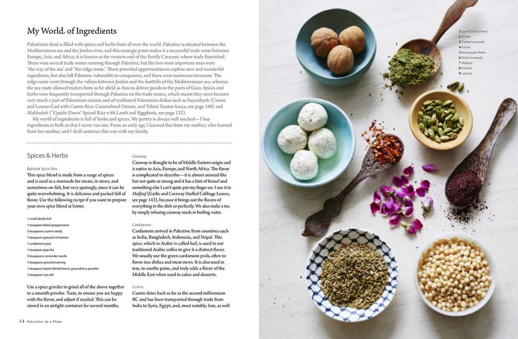 Palestine on a Plate by Joudie Kalla